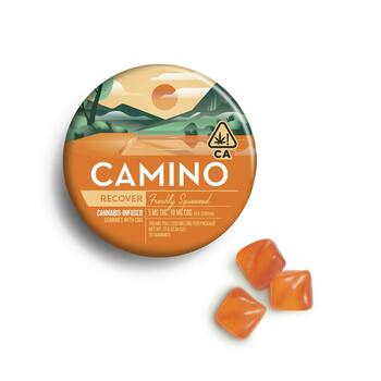 Camino Freshly Squeezed "Recover" CBG Gummies