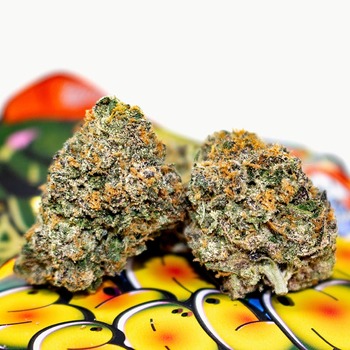 Teds Budz - Lemonberry Cherries - 3.5g